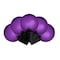Celebrations Purple 25 ct LED Smooth Frosted Halloween Lights 11-17001A - alternate 1