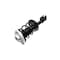 Fcs Struts Suspension Strut And Coil Spring Assembly 1334432R - alternate 3