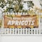 Signmission Farm Fresh Apricots, 24 Inch x 72 Inch, Vinyl Banner B-72-30573 - alternate 4