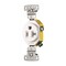 Hubbell Wiring 20 Amp 125-Volt Single Self Ground Receptacle, White RR201W - alternate 1