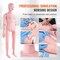Vevor Female Manikin Model Anatomical Nursing Training Patient Care Practice LD-134 - alternate 8