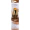 Princeton RealValue Brush Set, Gold Taklon Bristles, Short Handle Mixed Media Paintbrush, 7-Piece Set, 2PK PR9141 - alternate 2