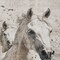 Homeroots 9' X 12' Ivory And Gray Horse Washable Indoor Outdoor Area Rug 618689 - alternate 5