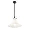 Z-Lite Fleur Matte Black 1 Light Pendant 1958P16-MB - alternate 4