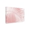 Trademark Fine Art Outdoor Canvas Art - amini54  'Palm Leaves On Pink Silhouette IV' Wall Art for Patios, or Gardens 1X28378-OC1624WR - alternate 1