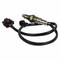 Motorcraft Oxygen Sensor,  DY1444 - alternate 2