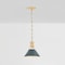 Hudson Valley Lighting Painted No. 2 9.5 in. Pendant in Aged Brass/Soft Studio Green by Mark D. Sikes MDS351-AGB/SSG - alternate 5