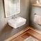 Whitehaus Collection 21 in Rectangular Wall Mount Basin with Overflow Control Ledge, Single Faucet Drilling and Overflow B-EVO15 - alternate 3