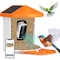 Simple Deluxe Smart Bird Feeder with Camera Solar Powered Bird Feeder with Camera HD 1080P, AI Identify Bird Spec LGBIRDFEEDCAMORG - alternate 1