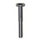 Auveco 1/4in-20 x 1 3/4in Grade 5 Cap Screw Zinc, 100PK 5441 - alternate 1