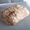 Lavish Home Oversized Ruched Faux Fur Blanket Plush Polyester Faux Fur Queen-Size Throw for Sofas & Beds HT-THROW1-TP - alternate 6