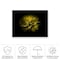 Trademark Fine Art Outdoor Canvas Art Brian Carson 'Backyard Flowers 67' Wall Art for Patios, or Gardens BRC00066-OC2432WR - alternate 5