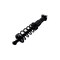 Fcs Struts Suspension Strut And Coil Spring Assembly 1345480R - alternate 4