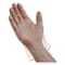 Ambitex Gloves, Polyethylene, Large (Size 9), 2000 PK, Clear EFLG2000 - alternate 2
