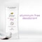 Dove Coconut and Pink Jasmine Deodorant Stick, 2.6 Ounce, 12PK 64773628 - alternate 6