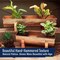 Kings County Tools Copper Window Planter Box for Indoor & Outdoor Use Large Rectangle Flower Pots Outdoor Planters GW86A09-08 - alternate 7