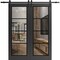 Sartodoors Sturdy Double Barn Door with Clear Glass, Lucia 2466 Matte Black and Aluminum Strips, 13FT Rail Ha LUCIA2466DB-BLK-60 x 96 (2* 30x96) - alternate 1