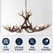 Jonathan Y Eldora 49" 10-Light Rustic Farmhouse Adjustable Resin Antler LED Chandelier, Brown JYL6320A - alternate 9
