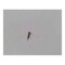 Cnh SCREW ADJUSTMENT, CNH OEM 362528R1 362528R1 - alternate 1