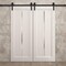 Sartodoors Modern Double Barn Door 84 x 96 inches, Ego 5014 Painted White Oak, 14FT Rail Track Set, Solid Pa EGO5014DB-PWO-8496 - alternate 4