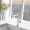 Blanco Rivana Semi-Pro 1.5 gpm, Stainless 442676 - alternate 5