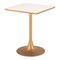 Homeroots 24" Beige and Gold Wood and Steel Pedestal Base Square Dining Table 572239 - alternate 5