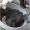 Sakrete Concrete Repair Compound, Pail, Gray, Fast Setting 120029 - alternate 2