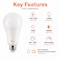 Euri Lighting A21 LED Bulb, 17W, 1600 lm, 100W Eq., 4000K, E26, Dimmable, CEC/JA8, UL EA21-17W5040cec - alternate 4