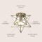 Jonathan Y Stella 12" Moravian Star Metal/Clear Glass LED Flush Mount, Gold/Clear JYL9035B - alternate 4