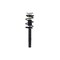 Fcs Struts Suspension Strut And Coil Spring Assembly 1335599L - alternate 3