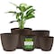 Lifemaster Planter Pots with Drainage Holes, Lightweight, Durable, Space-Saving, Brown, 20PK LMFLOPBRN520 - alternate 1