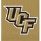 Coverking UNIVERSAL SEAT VEST DESIGNER 1PC, UNIVERSITY OF CENTRAL FLORIDA, ELA29 USVELA29 - alternate 2
