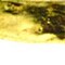 Homeroots 7 Glass Set Of 4 Square Edge Gold Plates 376063 - alternate 7
