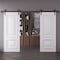Sartodoors Double Barn Door 60x84 inches White Solid Core Modern Interior ROYAL9822DB-B-EMAL-6084 - alternate 1