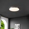 Jonathan Y Astrid 21.25" 1-Light Modern Minimalist Iron Circle Integrated LED Flush Mount, Brushed Nickel JYL7908B - alternate 7