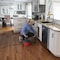 Craftsman 2.5 Gallon 2.5 Peak HP Wet/Dry Vac, Portable Shop Vacuum with Attachments CMXEVBE17250 - alternate 2
