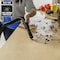 Craftsman 1/2 Height HEPA Media Wet/Dry Vac Replacement Filter for 4 Gal. Shop Vacuums CMXZVBE38740 - alternate 3