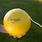 Champion Sports Deluxe TetherBall, Tournament Set CG207 - alternate 5