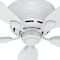 Hunter Decorative Ceiling Fan, 42 in Blade Dia, 5 Blades, 3 Speeds, 120V AC, White, 12.4" W 51059 - alternate 6