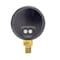 Pic Gauges Air Gauge, 2", 0/15 psi, 1/8"Mount, 2 in Dial, 1/8 in NPT Male Lower Location 101D-208B - alternate 4
