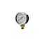 Pic Gauges Air Gauge, 2", 0/30 psi, 1/8"Mount, 2 in Dial, 1/8 in NPT Male Lower Location 101D-208C - alternate 1