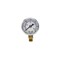 Pic Gauges Air Gauge, 2", 0/30 psi, 1/8"Mount, 2 in Dial, 1/8 in NPT Male Lower Location 101D-208C - alternate 2
