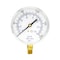 Pic Gauges Air Gauge, 3-1/2", 0-200 psi, 1/4" Mount, 3 1/2 in Dial, 1/4 in NPT Male Lower Location 101D-354G - alternate 2