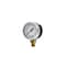 Pic Gauges Air Gauge, 2", 0/100 psi, 1/4" Mount, 2 in Dial, 1/4 in NPT Male Lower Location 101D-204E - alternate 1