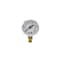 Pic Gauges Air Gauge, 2", 0/100 psi, 1/4" Mount, 2 in Dial, 1/4 in NPT Male Lower Location 101D-204E - alternate 3