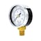 Pic Gauges 2 in Dial, 1/4 in NPT Male Lower Location, Black Steel Case Material 101D-204N - alternate 1