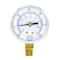 Pic Gauges Air Gauge, 2-1/2", 30/0/100psi, 1/4", 2 1/2 in Dial, 1/4 in NPT Male Lower Location 101D-254CE - alternate 4