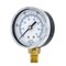Pic Gauges 2 1/2 in Dial, 1/4 in NPT Male Lower Location, Black Steel Case Material 101D-254M - alternate 1