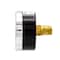Pic Gauges 2 in Dial, 1/4 in NPT Male Center Back Location, Black Steel Case Material 102D-204A - alternate 3