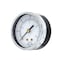 Pic Gauges 2 1/2 in Dial, 1/4 in NPT Male Center Back Location, Black Steel Case Material 102D-254D - alternate 1